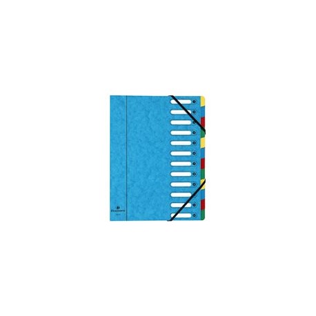 Trieur-carte-lustrée-12-compartiments-exacompta-6/10ème